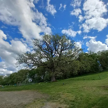 Casa de hóspedes La Tuilerie
