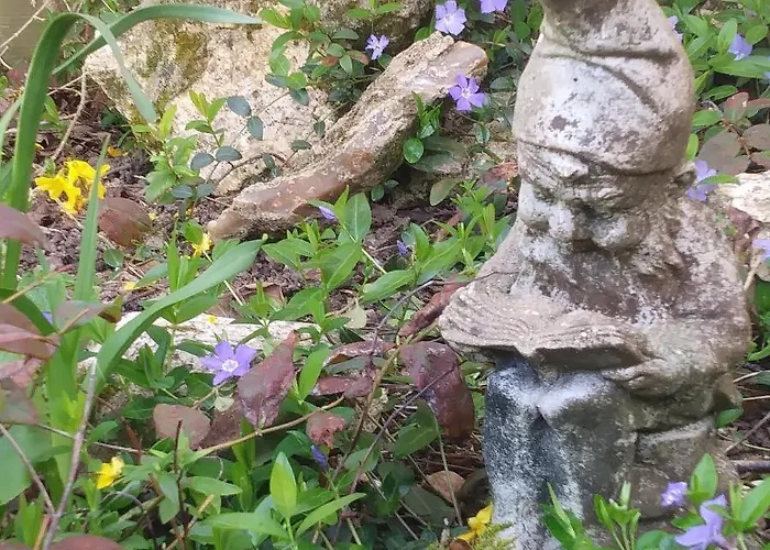 La Tuilerie Casa de hóspedes Pindray